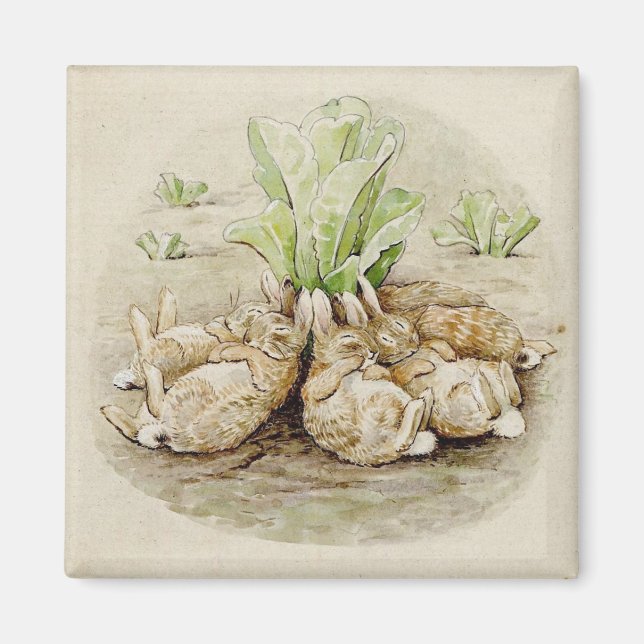The Flopsy Bunnies Asleep (by Beatrix Potter) Magnet (Front)