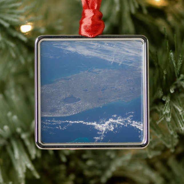 The Florida Peninsula. Metal Tree Decoration (Tree)