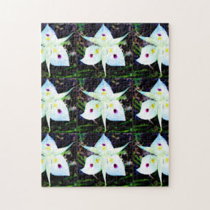 The Flower Fairies Puzzle