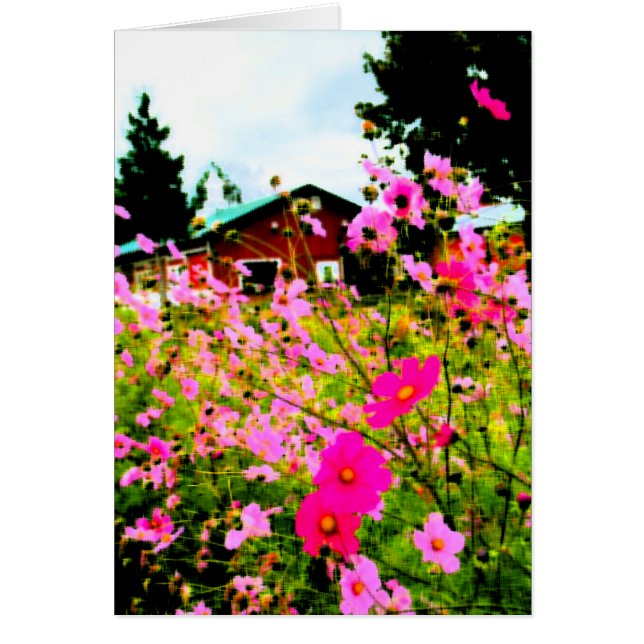 The Flower Farm painting (Front)