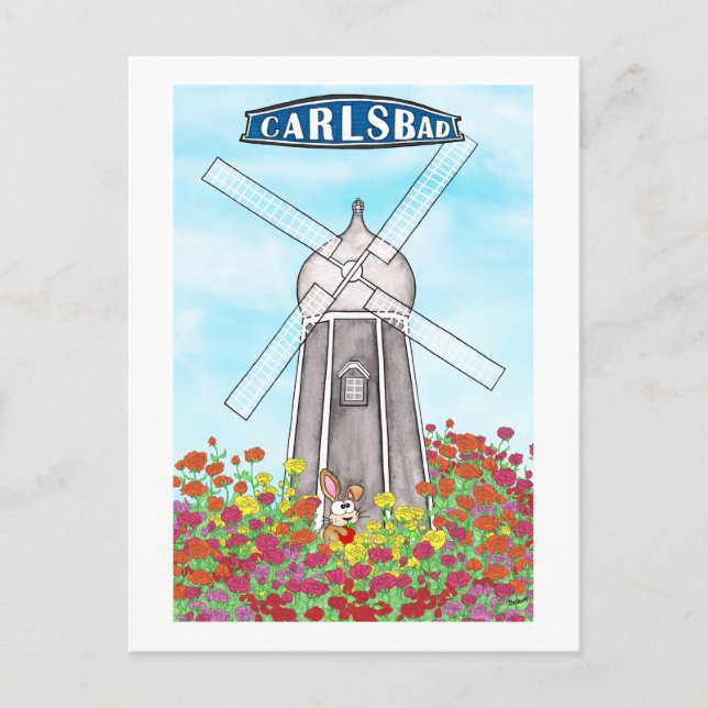 The Flower Fields of Carlsbad California Postcard (Front)