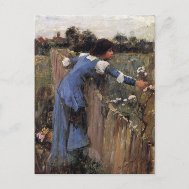 The Flower Picker Postcard (Front)