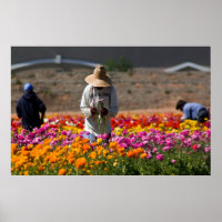 The Flower Pickers