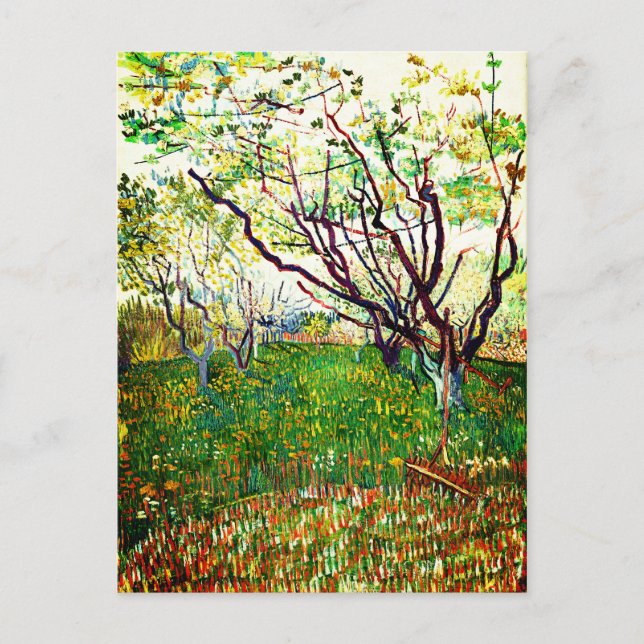 The Flowering Orchard (1888) by Vincent Van Gogh Postcard (Front)
