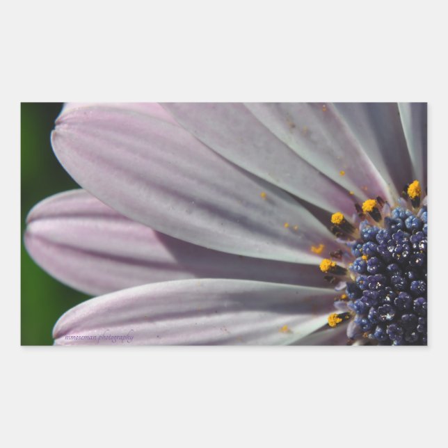 The Flowers Within Rectangular Sticker (Front)