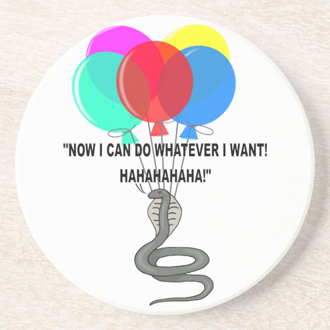 The Flying Snake Coaster (Front)