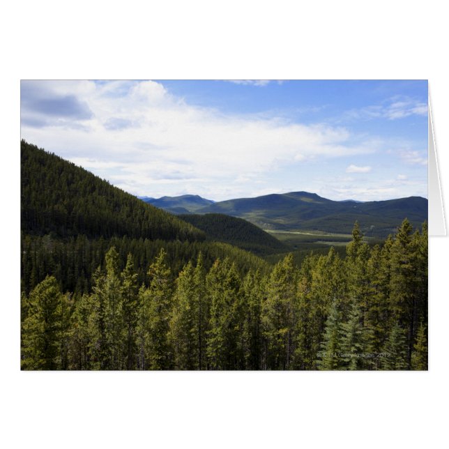 The foothills of Alberta Canada. (Front Horizontal)