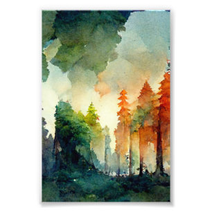 The Forest (nature) Photo Print
