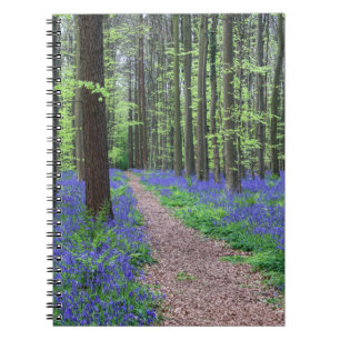 The Forest of Halle Halle, Belgium Notebook