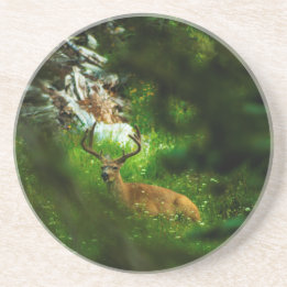 The Forest Prince Coaster