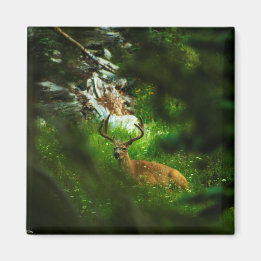 The Forest Prince Magnet
