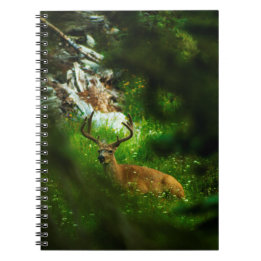 The Forest Prince Notebook