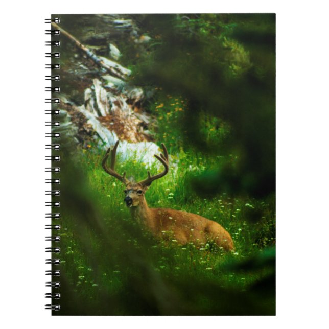 The Forest Prince Notebook (Front)