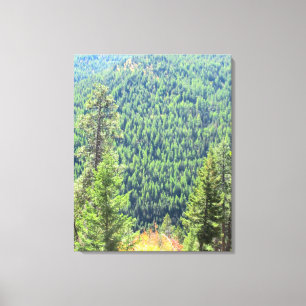 The Forest Wrapped Canvas