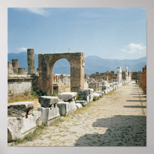 The Forum with the mountains in the background Poster