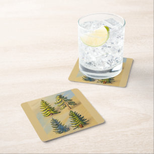 The four varieties of fir trees, botanical. square paper coaster