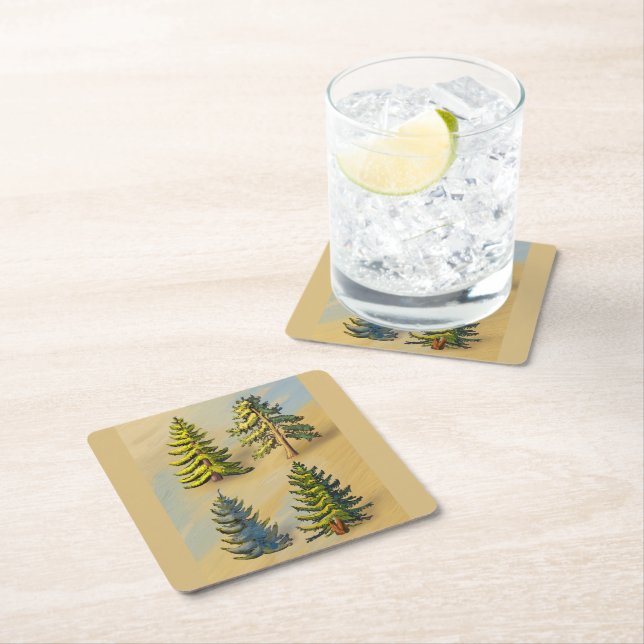 The four varieties of fir trees, botanical. square paper coaster (Insitu)