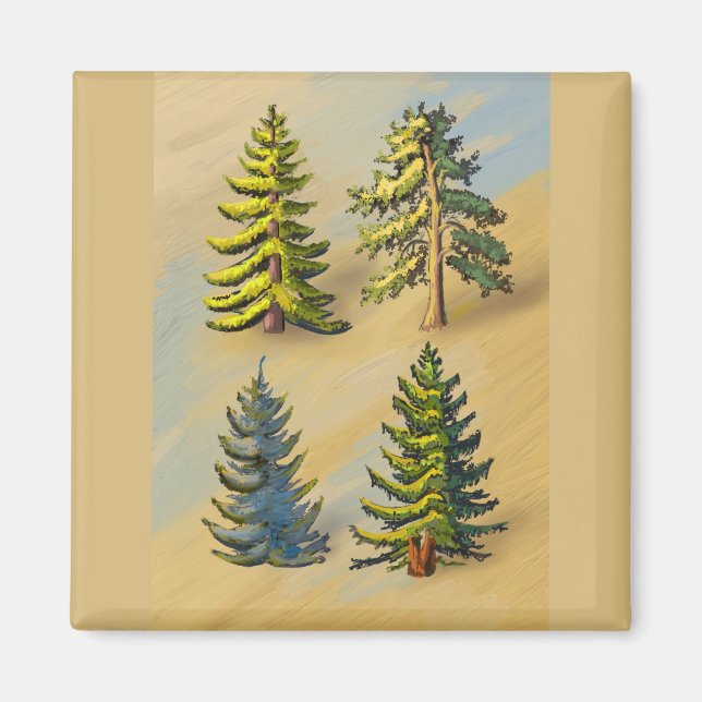 The four varieties of fir trees, botany. magnet (Front)