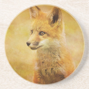 The Fox in the Wood Coaster