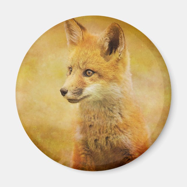 The Fox in the Wood Magnet (Front)