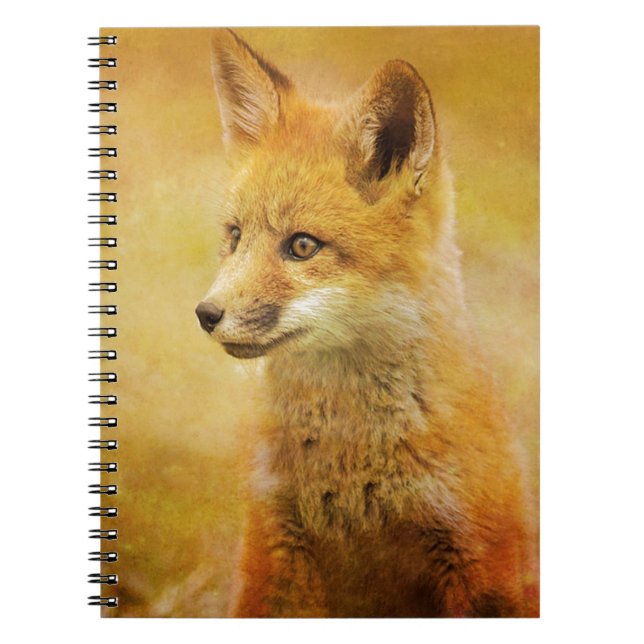The Fox in the Wood Notebook (Front)