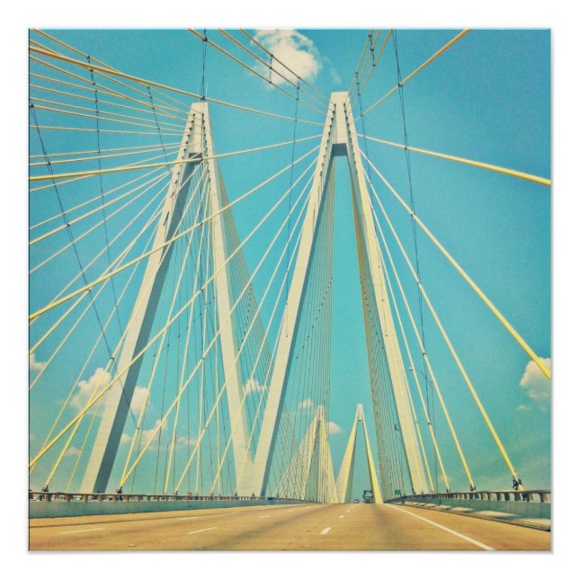 The Fred Hartman Bridge Poster (Front)