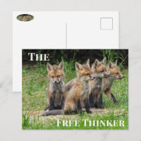 The Free Thinker Fox