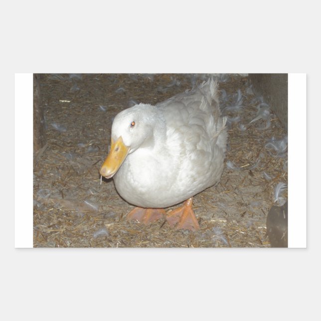 The freindliest duck on earth rectangular sticker (Front)