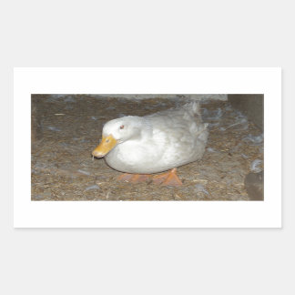 The freindliest duck on earth rectangular sticker