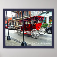 The French Quarter | Buggy Ride in Colour