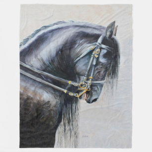 The Friesian Blanket