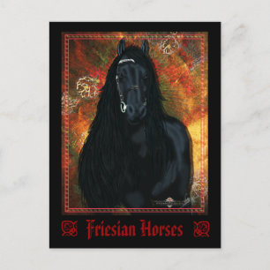 The Friesian - Postcard
