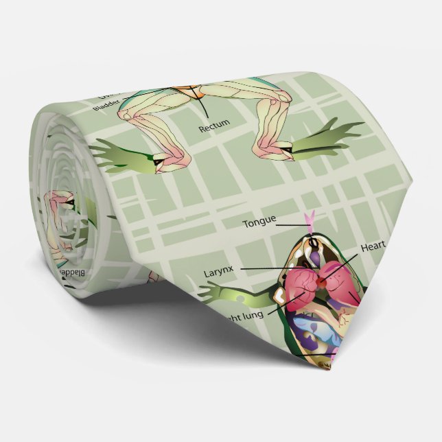 The Frog's Anatomy Green Tie (Rolled)