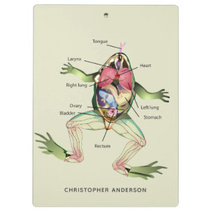 The Frog's Anatomy Personalised Clipboard