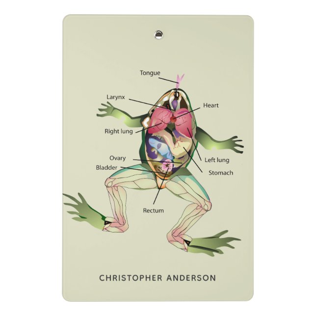 The Frog's Anatomy Personalised Mini Clipboard (Back)