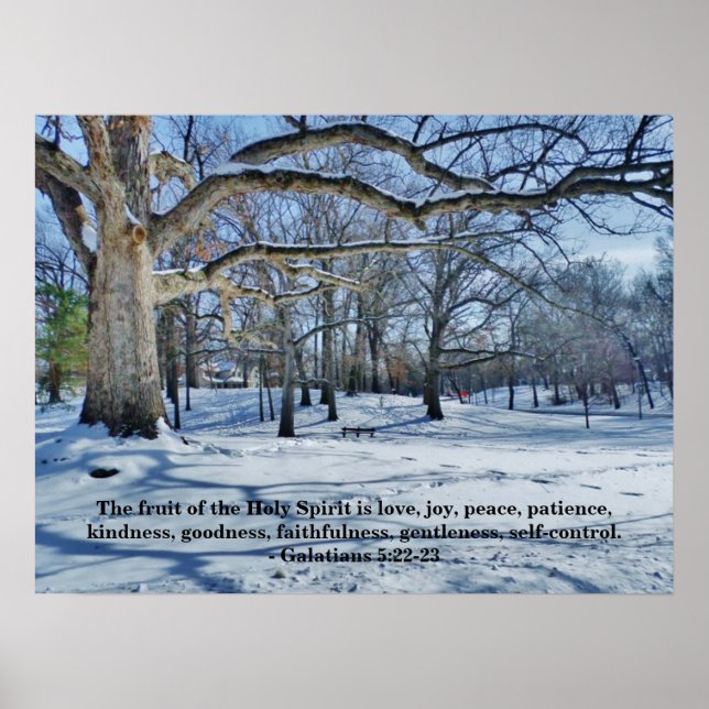 THE FRUIT OF THE SPIRIT POSTER (Front)