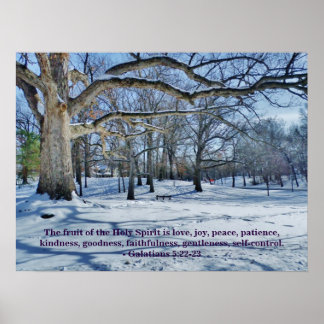 THE FRUIT OF THE SPIRIT POSTER