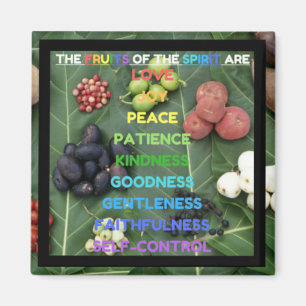 The Fruits of the Spirit (Design 12 - Black) Magnet