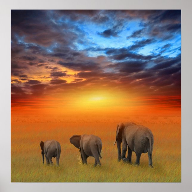 The Future is Bright Poster (Front)