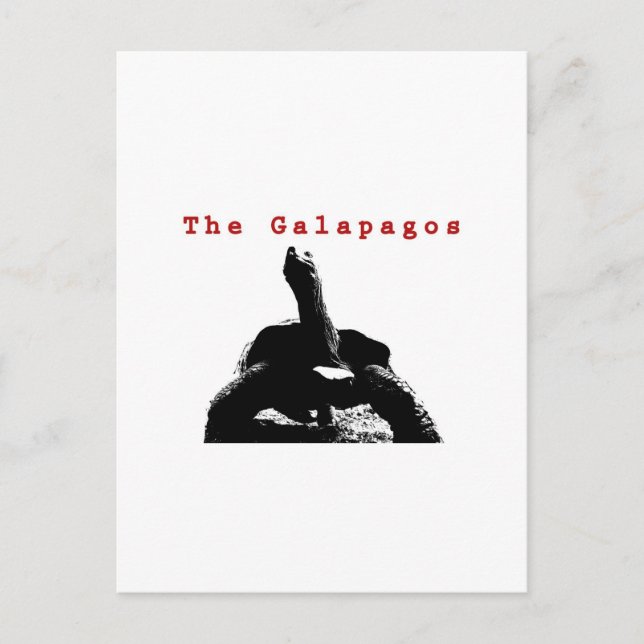 The Galapagos Postcard (Front)