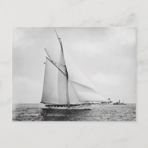 The Galatea Postcard