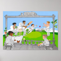 The game of cricket