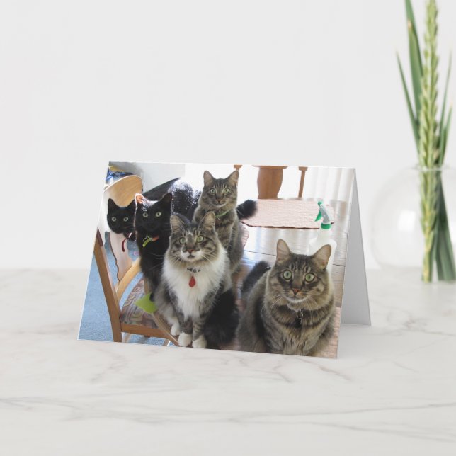 The Gang Birthday Greeting Card (Front)