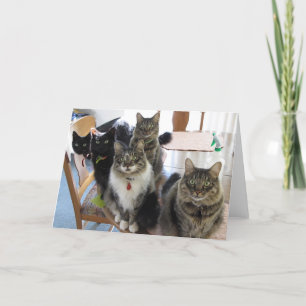 The Gang Blank Greeting Card