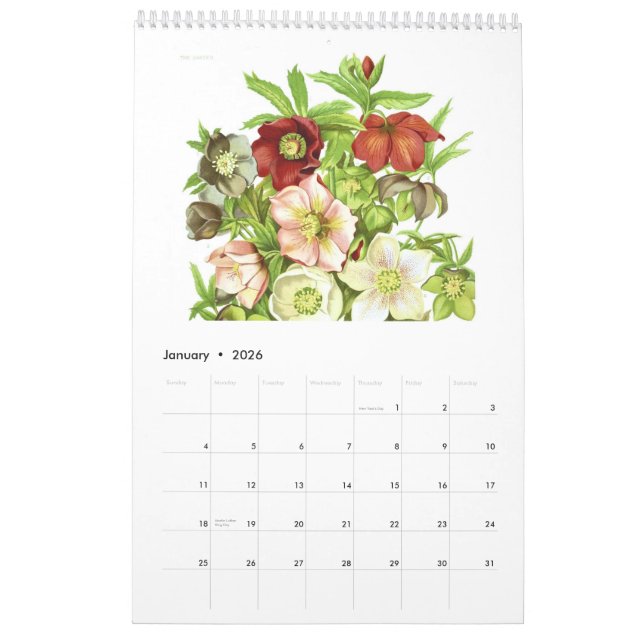 The Garden 2015 Calendar (Jan 2026)