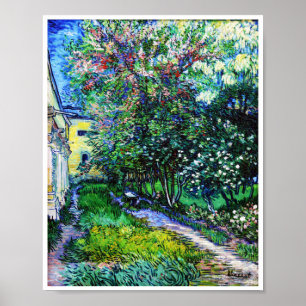 The Garden at the Asylum at Saint-Rémy, Van Gogh Poster