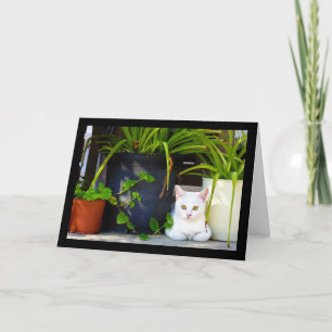 The Garden Kitten Card