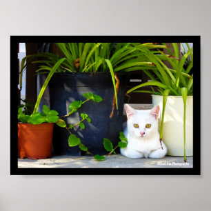 The Garden Kitten Poster