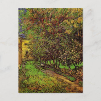 The Garden of Saint-Paul Hospital by van Gogh Postcard