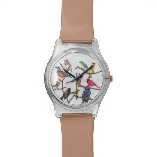 The Gathering Colourful Songbirds May28th Watch